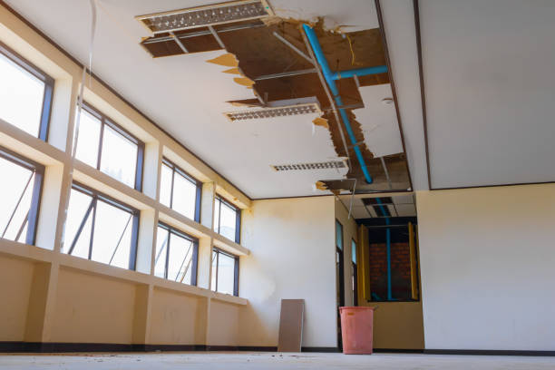 Best Basement water damage restoration  in Deerfield Beach, FL