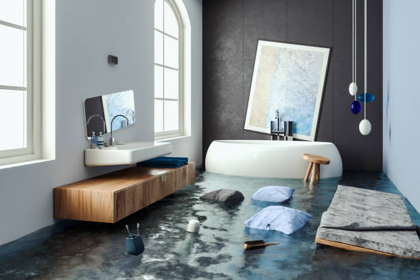 Best Water damage cleanup near me  in Deerfield Beach, FL