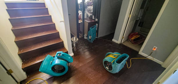 Best Fire Damage Restoration  in Deerfield Beach, FL