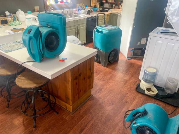 Best Water damage restoration near me  in Deerfield Beach, FL