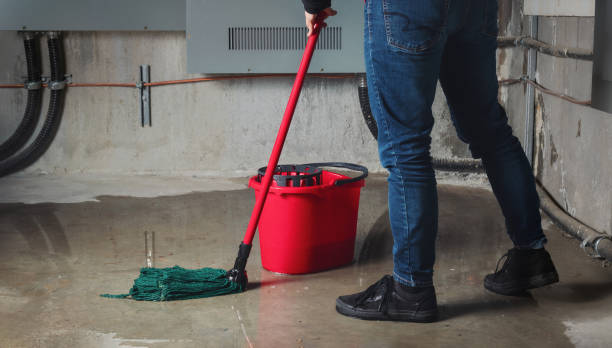 Best Ceiling water damage repair  in Deerfield Beach, FL