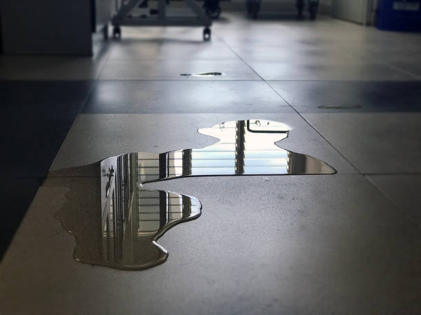 Best Water damage restoration near me  in Deerfield Beach, FL