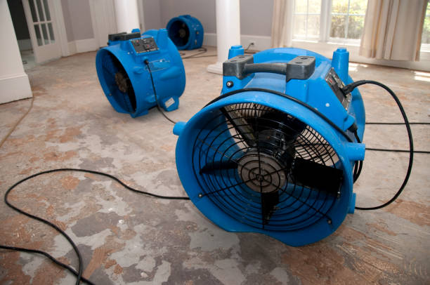 Best Water damage mitigation services  in Deerfield Beach, FL