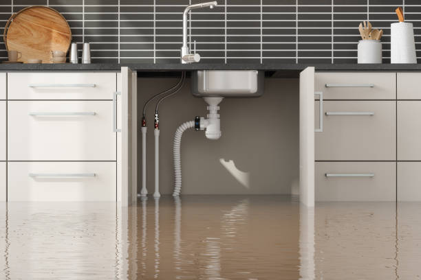 Best Water damage contractors near me  in Deerfield Beach, FL