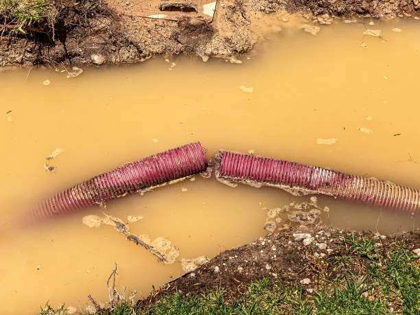 Best Carpet water damage restoration  in Deerfield Beach, FL