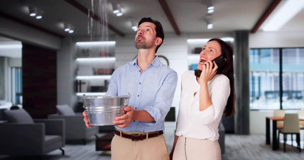 Best Ceiling water damage repair  in Deerfield Beach, FL
